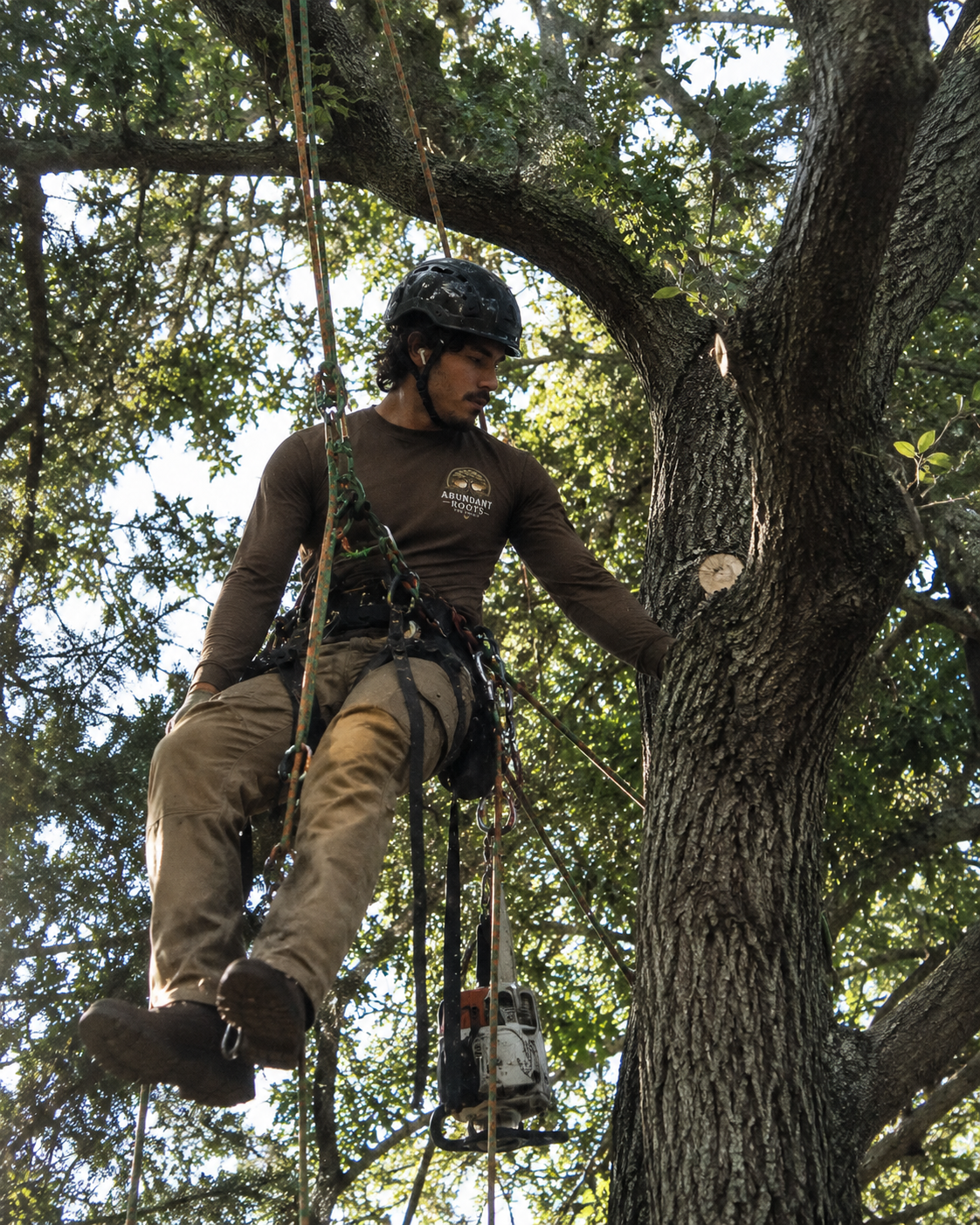 Tree climbing