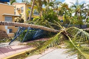 storm clean up